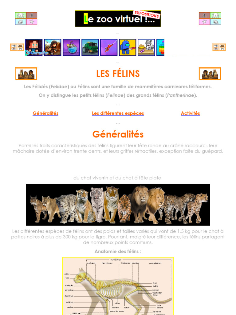 Les 37 espèces de félins expliquées | PDF | Felidae | Tigre