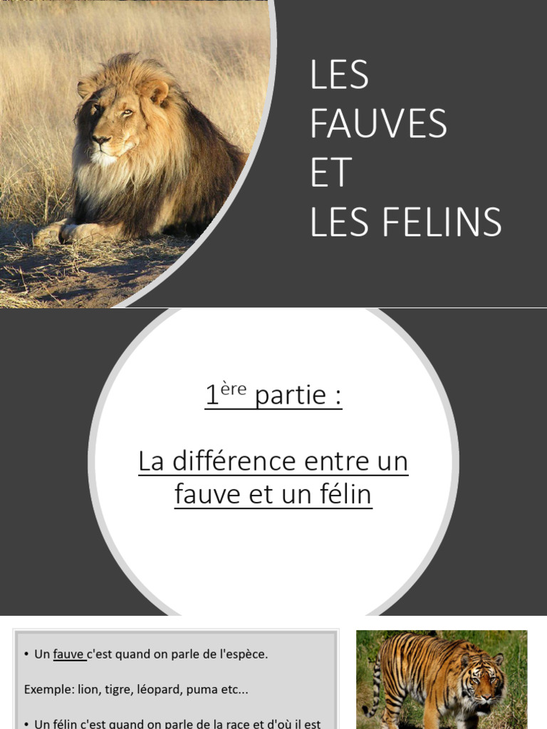Différences entre fauves et félins | PDF