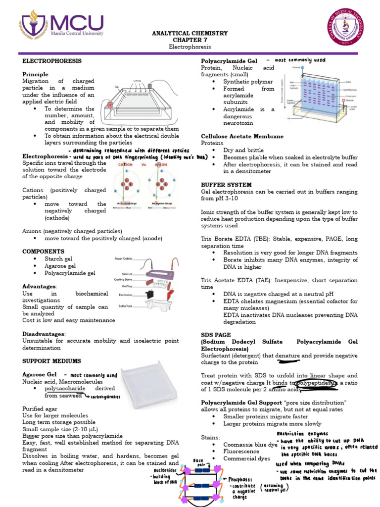 Electrophoresis Techniques in Chemistry | PDF | Gel Electrophoresis ...