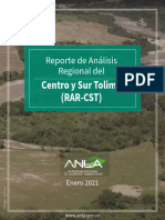 06 05 2021 Anla Reporte Analisis Regional Centro y Sur Del Tolima