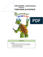 02 - Le Métabolisme Du Glucose