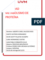 Metabolismo Proteinas - Act-Pb
