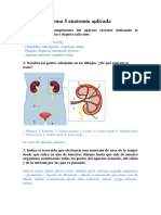 Actividades Tema 5 Con Respuestas