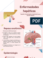 Enfermedades Del Higado