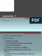 2 Anatomia