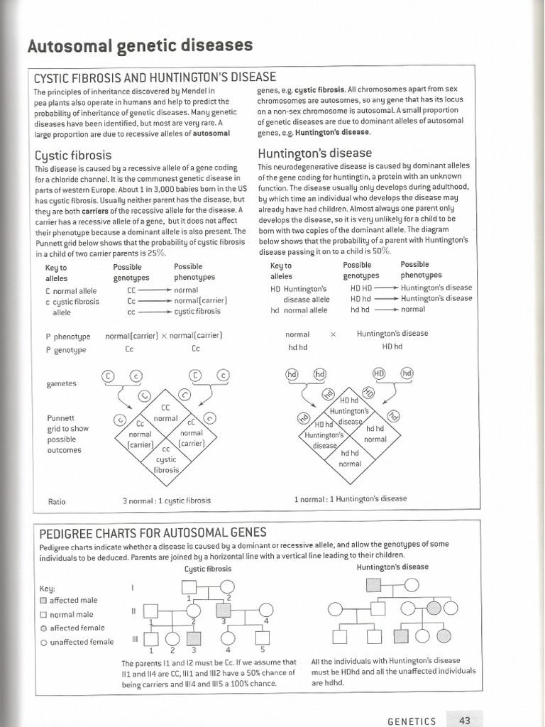 Autosomal Genetic Diseases | PDF