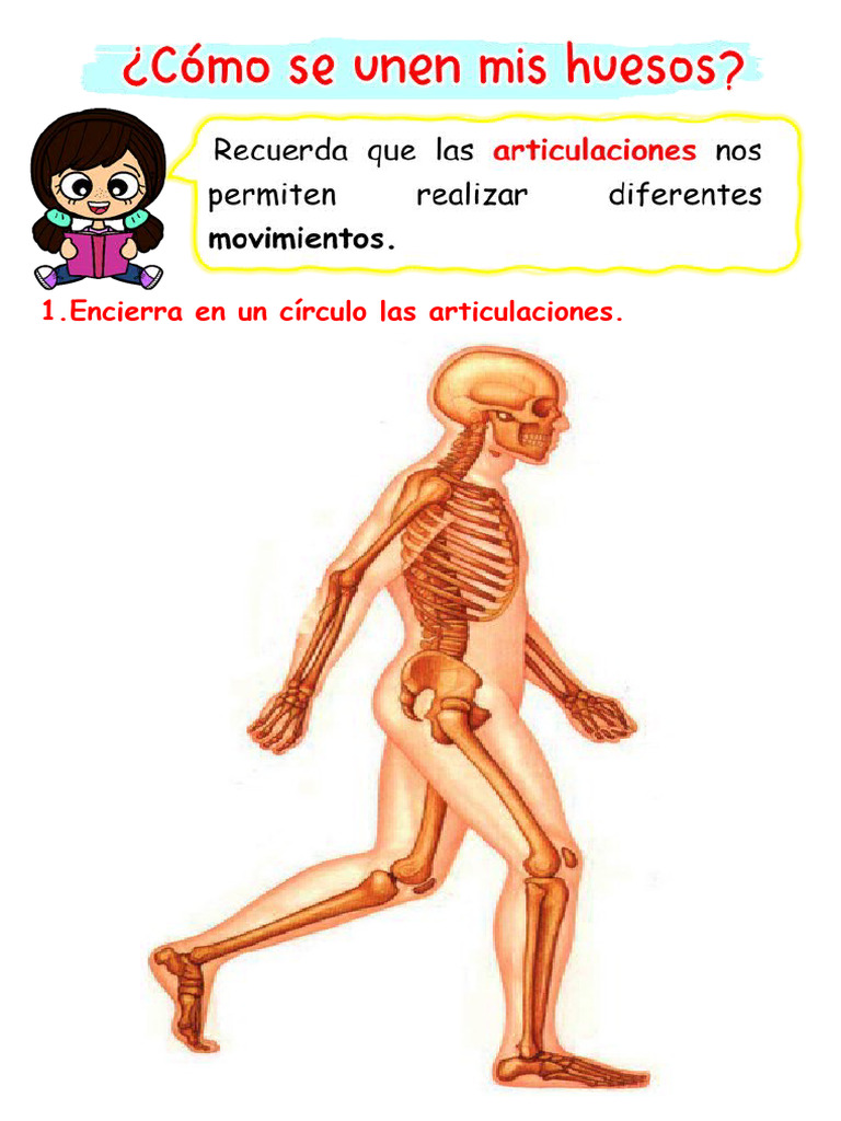 Ficha Cómo Se Unen Mis Huesos Maestra Janet | PDF, image size:768x1024