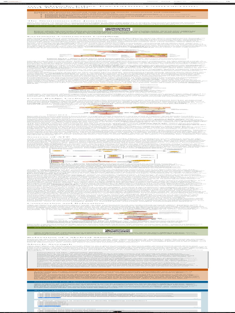 Muscle Contraction Mechanism Explained | PDF | Muscle Contraction ...