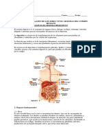 Ciencias Naturales - Guía N° 6 - 5° Básico