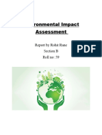 Environmental Impact Assessment Rohit