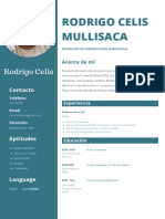 CV Rodrigo Celis Mullisaca