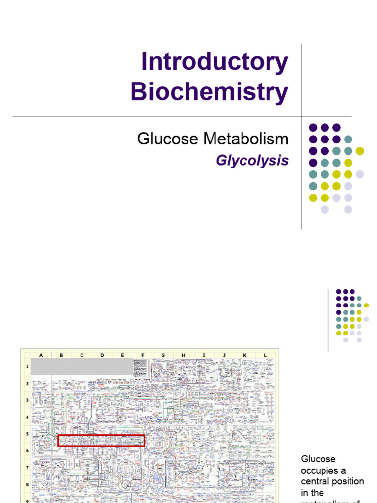 Glycolysis and Glucose Metabolism Overview | PDF | Glycolysis | Glucose