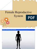 Female-Reproductive-System With Link