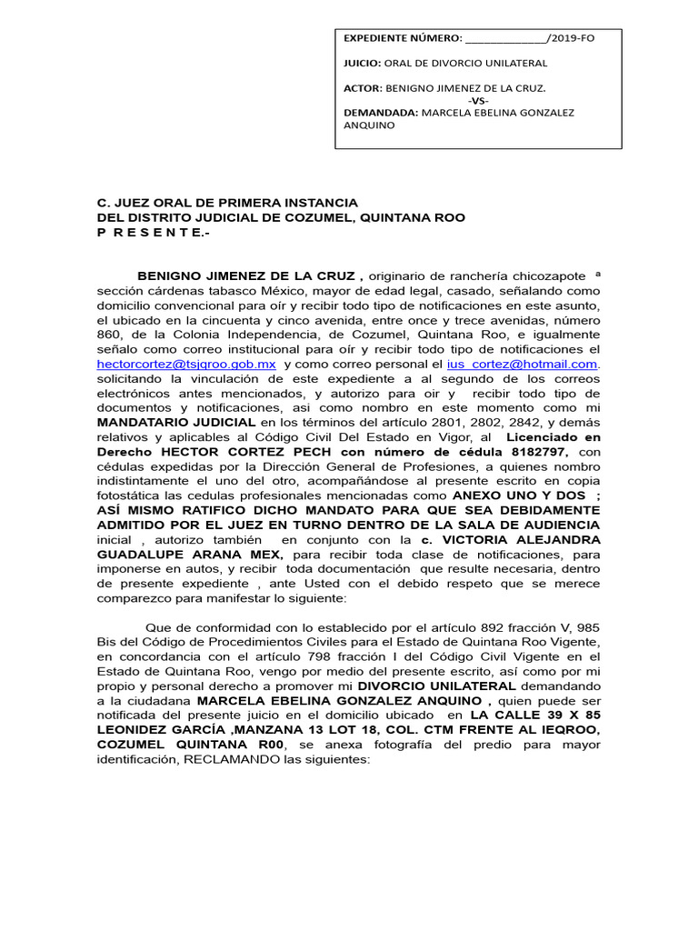 Divorcio Unilateral Pdf Divorcio Matrimonio