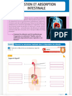 Digestion Et Absorption Intestinale