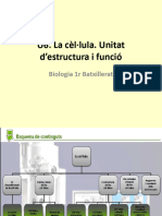 Ud6. La Cèl Lula. Unitat D'estructura I Funció