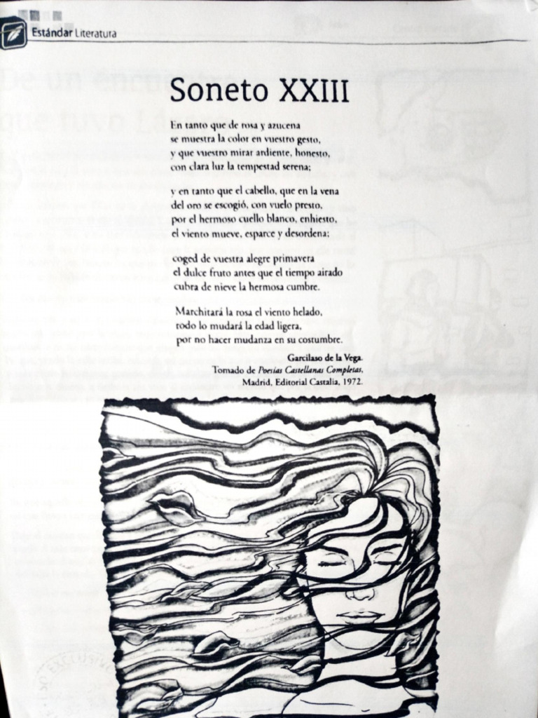soneto-xxiii-estandar-uteratura-pdf-don-quijote