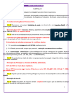 Aula 1 - Princípios (PROCESSO CIVIL)