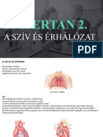 Embertan 2 - A Szív És Érhálózat