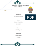 Preguntas de Auditoria - Sinia Urbina - Corregido