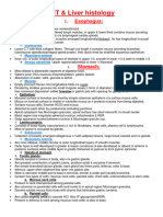 Histology of GIT Liver