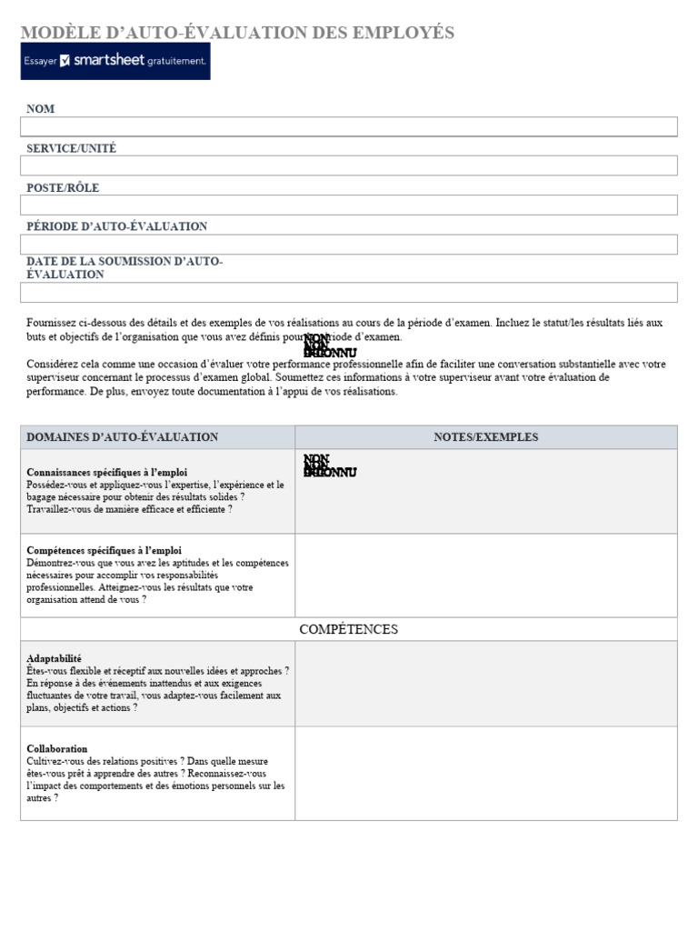 Modèle d'Auto-Évaluation Employé | PDF