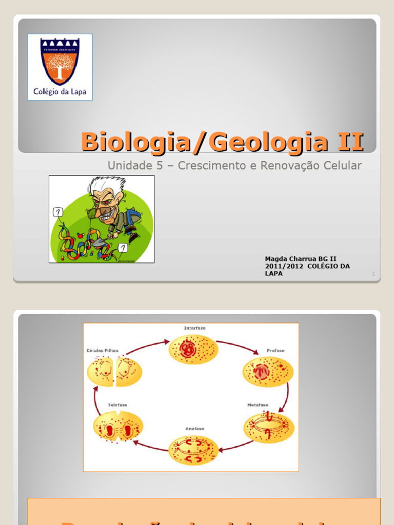 Regulação do Ciclo Celular e Apoptose | PDF | Célula (Biologia) | Câncer
