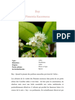 Bay Pimenta Racemosa: Type: Obtention: Origine: Partie Utilisée: Sa Famille/facette