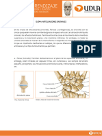 Guía 4B Articulaciones Sinoviales