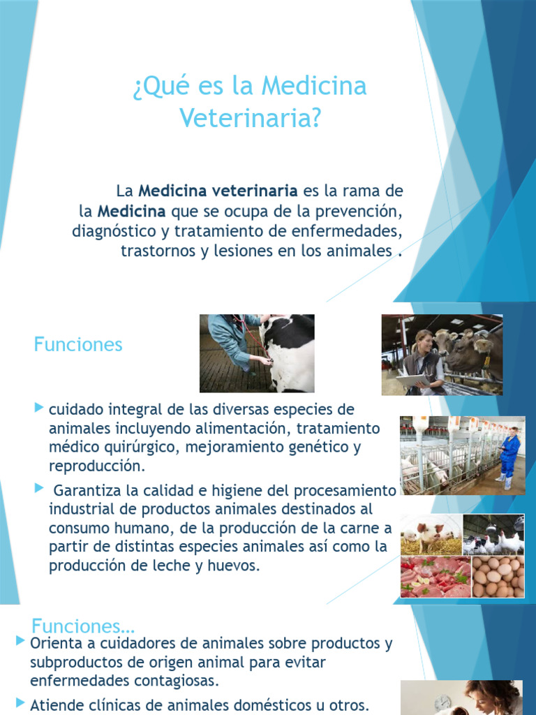 Funciones del Auxiliar Veterinario | PDF | Medicina Veterinaria | Medicina