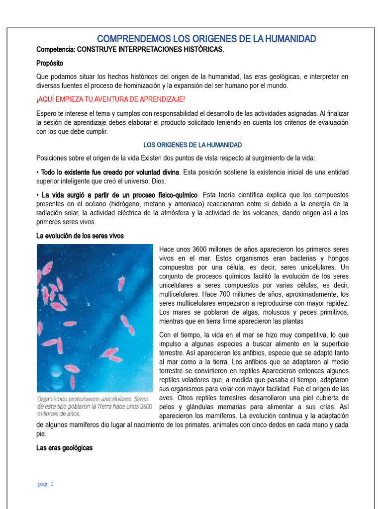 Tema 6 CCSS - Los Origenes de La Humanidad | PDF | Homo | Evolución
