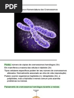 11. Estrutura e Nomenclatura Dos Cromossomos