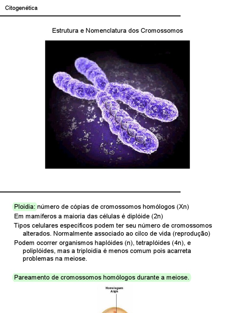 Estrutura e Nomenclatura dos Cromossomos | PDF | Sexo | Cromossomo