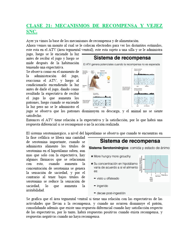 Mecanismos de Recompensa y Drogas | PDF | Dopamina | Drogas