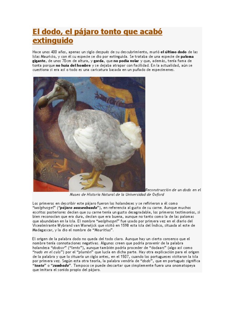 El dodo | Aves | Naturaleza