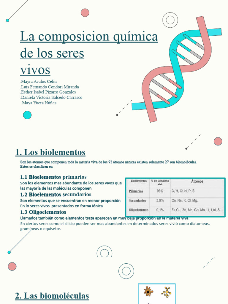 Composicion Quimica de Los Seres Vivos Salcedo Daniela | PDF ...