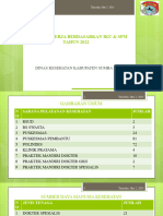 Performance Dinkes Tahun 2022