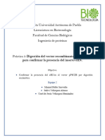 PRÁCTICAIII - Digestión Del Vector Recombinante pPICZB-HN