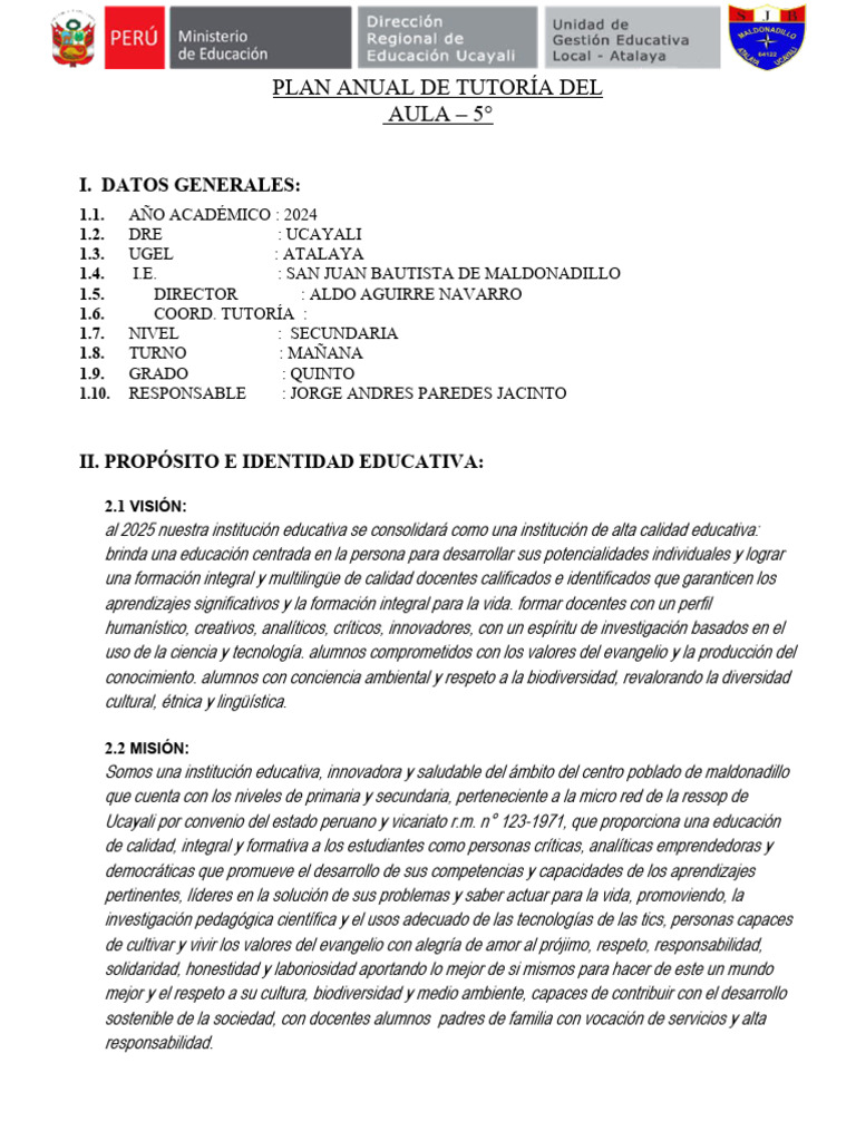 Plan Anual de Tutoría 2024 - 5° Secundaria | PDF | Iniciativa ...
