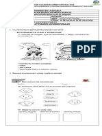 Grado 3 Actividades Socioemocionales