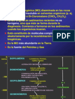 Kerógeno: Fuente y maduración de hidrocarburos