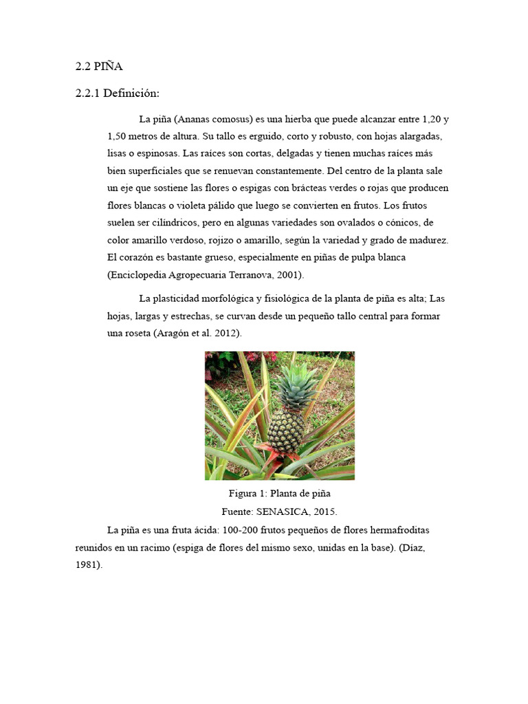 Piña 2 | PDF | Piña | Vitamina
