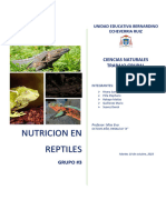 Alimentacion Reptiles CCNN