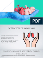 Donación de Órganos