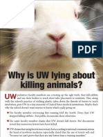 UW Rabbit Ad the Daily