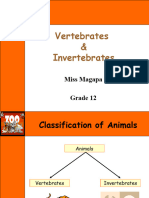 Introduction To Vertebrates - Ms Magapa