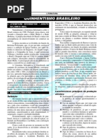 04-Quinhentismo brasileiro