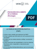 17 Familia Multiproblematica