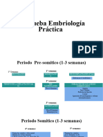 Embrio Práctico