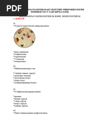 Сиськи чухи чавла